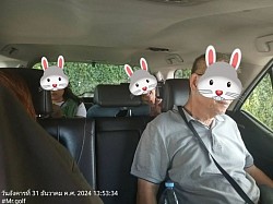 Chartered car with driver for sightseeing in other provinces
