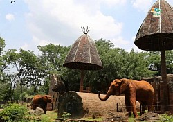 Korat Zoo