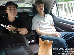 Rent a car to Chiang Mai, feel relaxed all the way